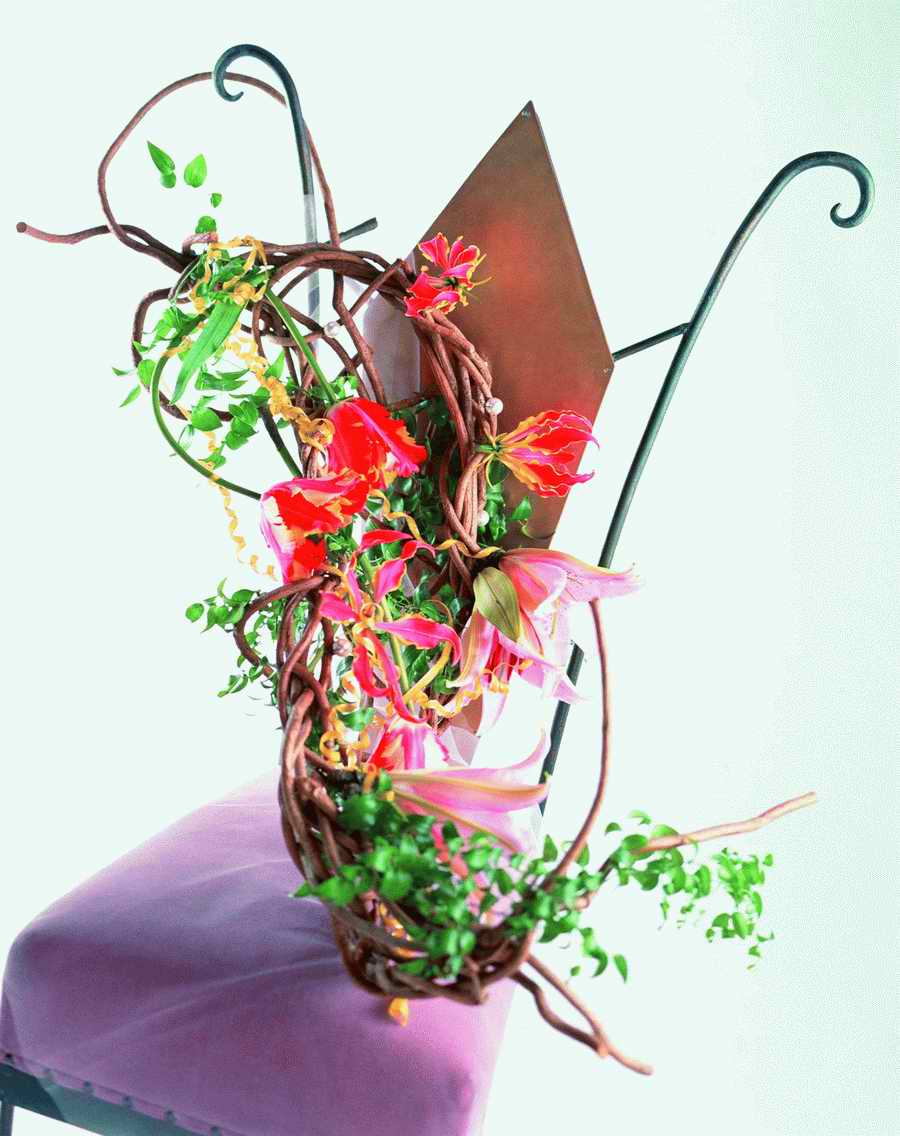Bouquet 2 - VisualDisk ></a>
<script language=JavaScript> 
  var txt = 