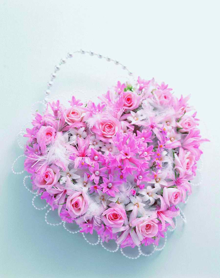 Bouquet 2 - VisualDisk ></a>
<script language=JavaScript> 
  var txt = 