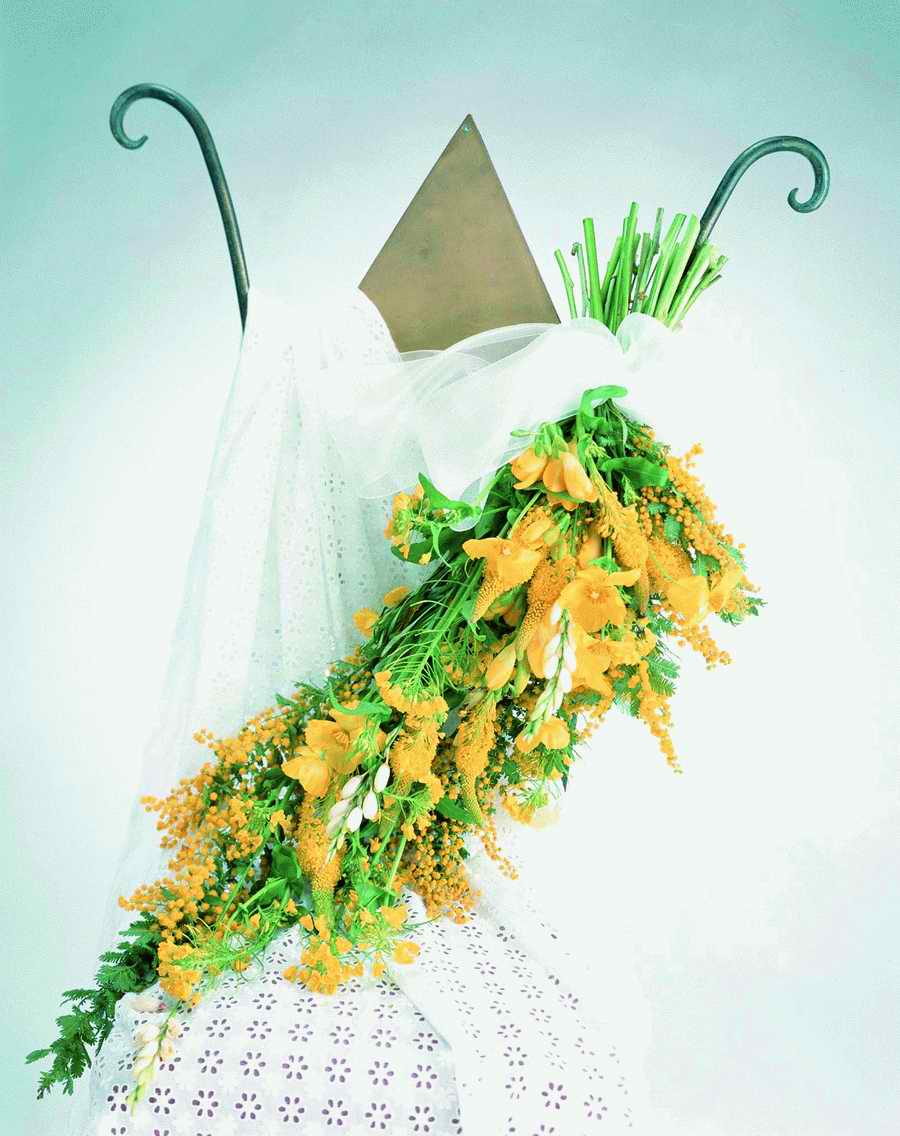 Bouquet 2 - VisualDisk ></a>
<script language=JavaScript> 
  var txt = 