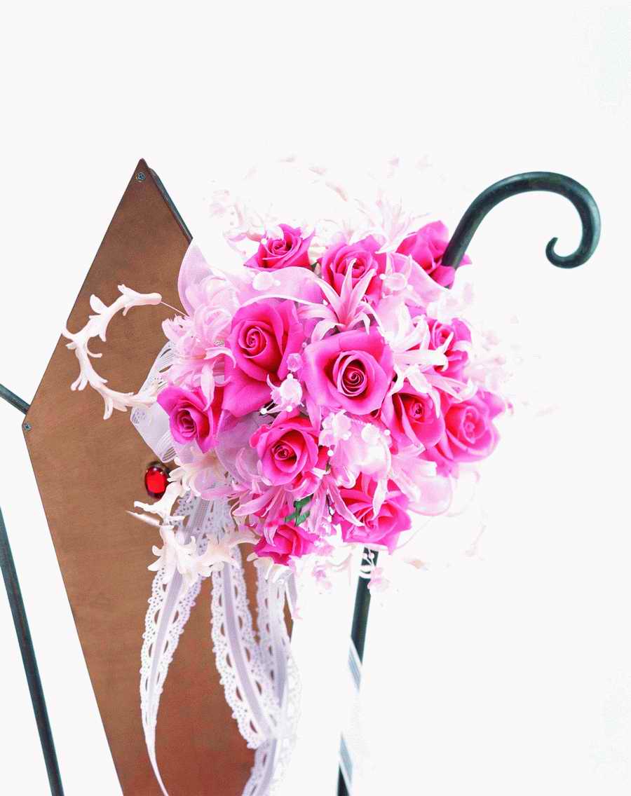 Bouquet 2 - VisualDisk ></a>
<script language=JavaScript> 
  var txt = 