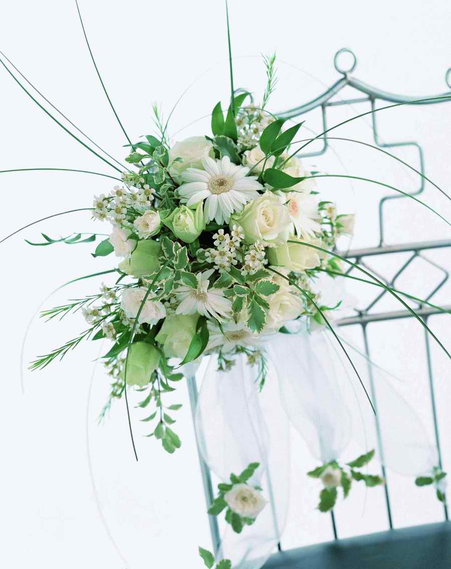 Bouquet 2 - VisualDisk ></a>
<script language=JavaScript> 
  var txt = 