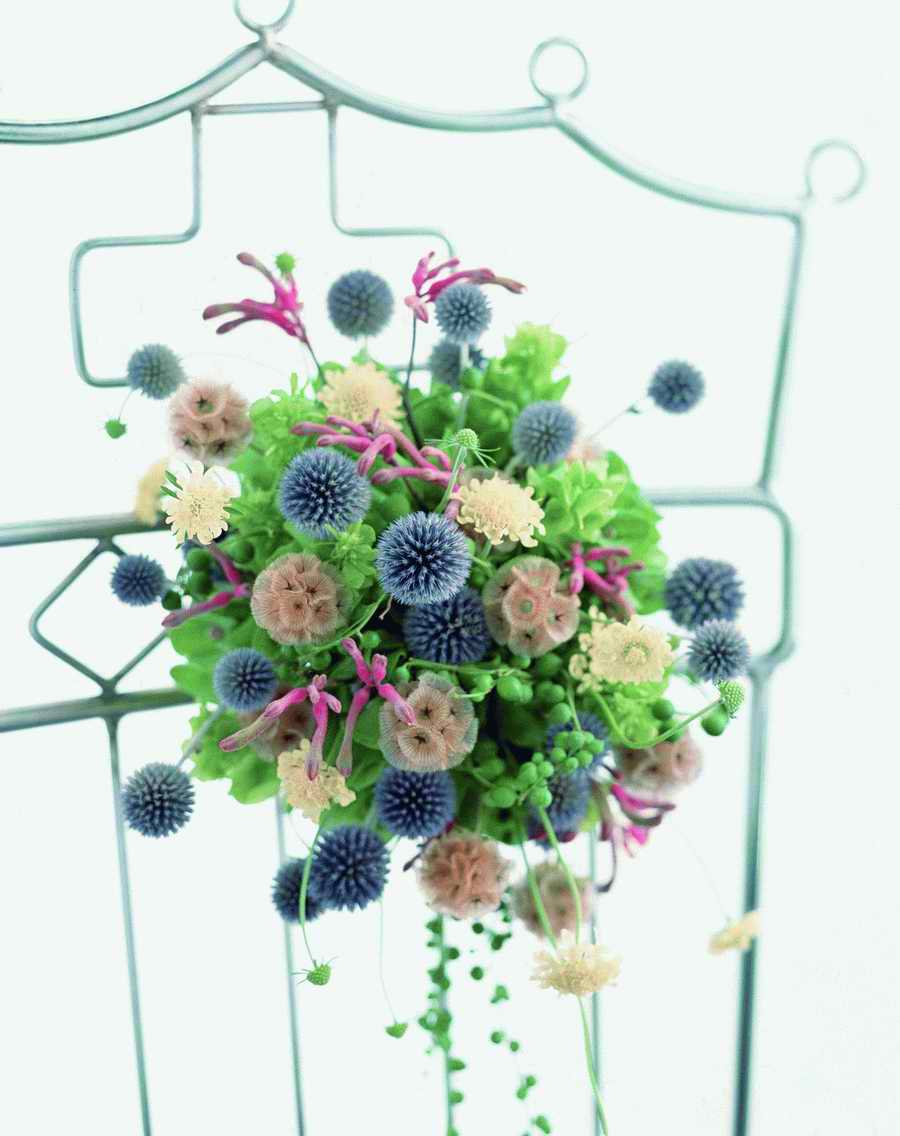 Bouquet 2 - VisualDisk ></a>
<script language=JavaScript> 
  var txt = 
