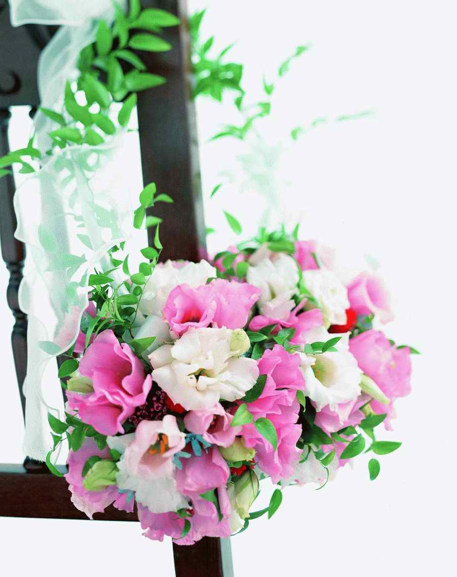 Bouquet 2 - VisualDisk ></a>
<script language=JavaScript> 
  var txt = 