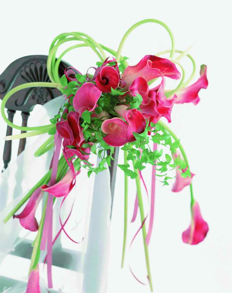 Bouquet 2 - VisualDisk ></a>
<script language=JavaScript> 
  var txt = 