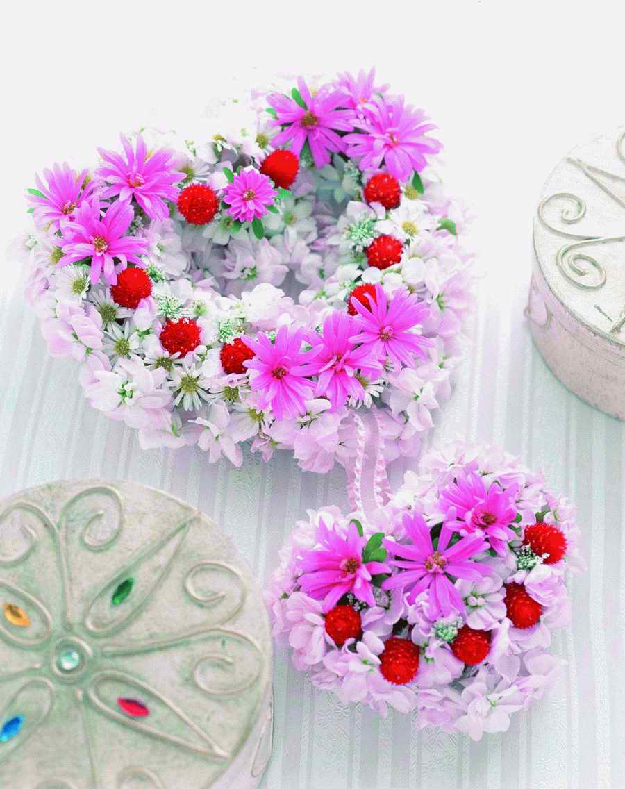 Bouquet 2 - VisualDisk ></a>
<script language=JavaScript> 
  var txt = 