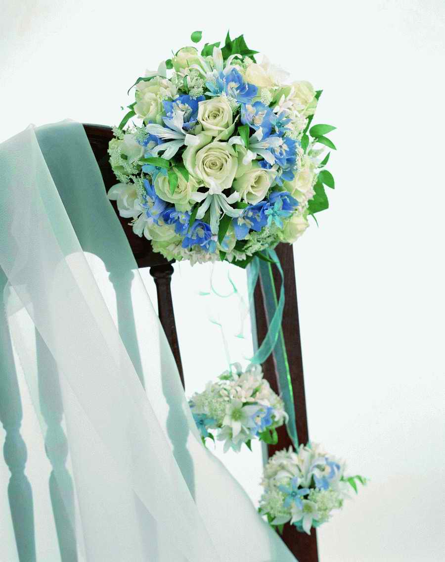 Bouquet 2 - VisualDisk ></a>
<script language=JavaScript> 
  var txt = 