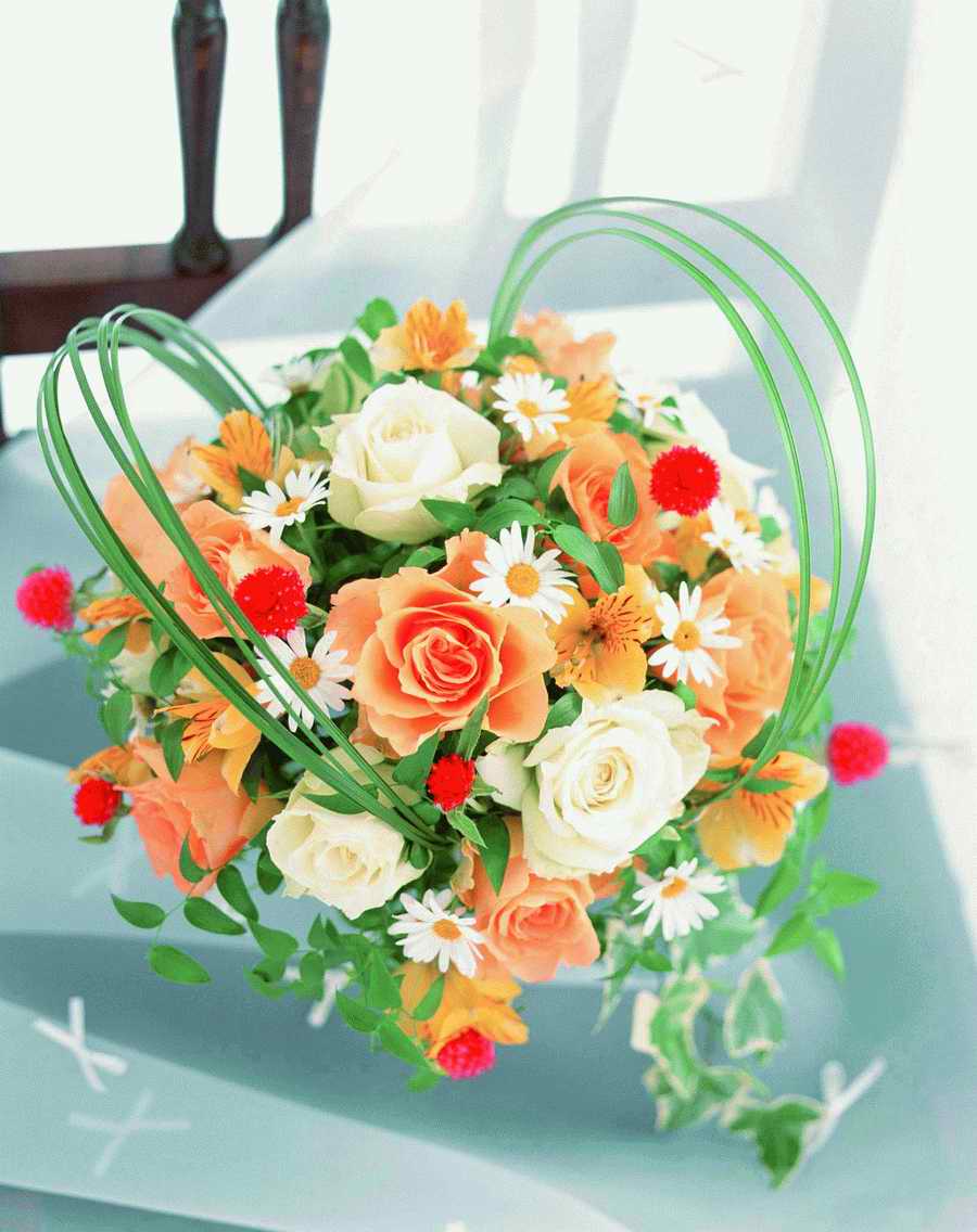 Bouquet 2 - VisualDisk ></a>
<script language=JavaScript> 
  var txt = 