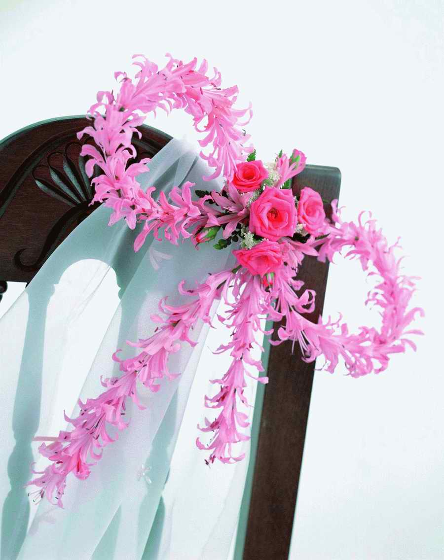 Bouquet 2 - VisualDisk ></a>
<script language=JavaScript> 
  var txt = 