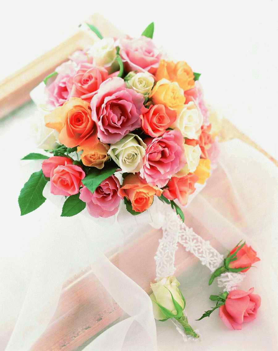 Bouquet 2 - VisualDisk ></a>
<script language=JavaScript> 
  var txt = 
