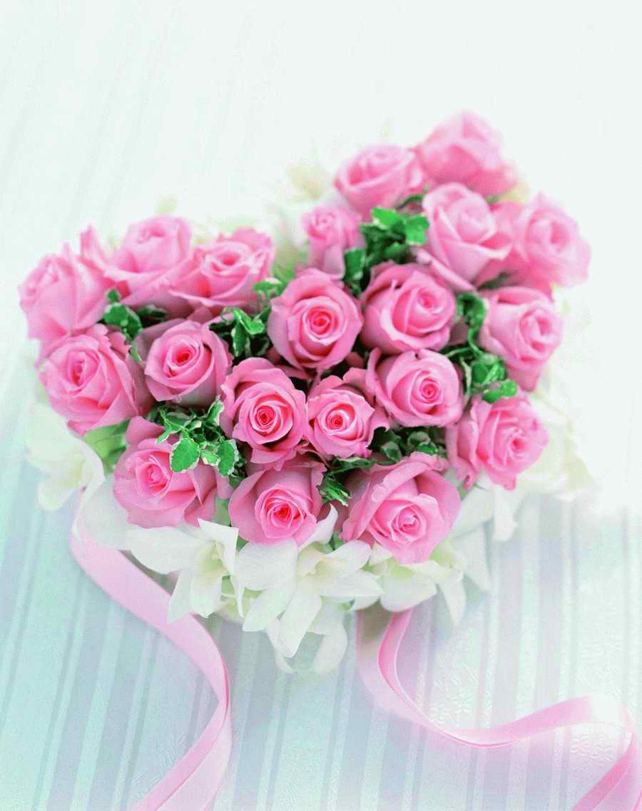 Bouquet 2 - VisualDisk ></a>
<script language=JavaScript> 
  var txt = 