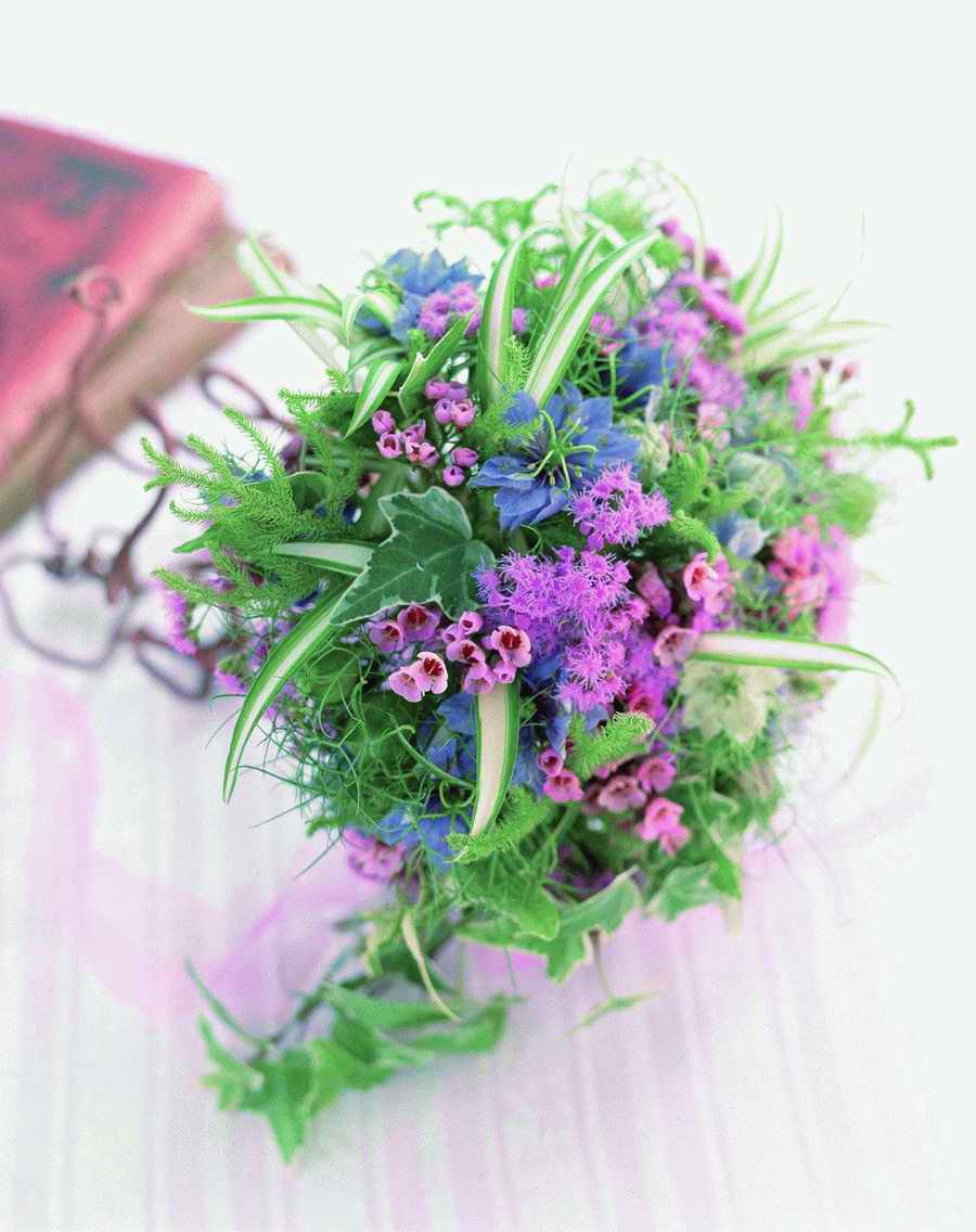 Bouquet 2 - VisualDisk ></a>
<script language=JavaScript> 
  var txt = 