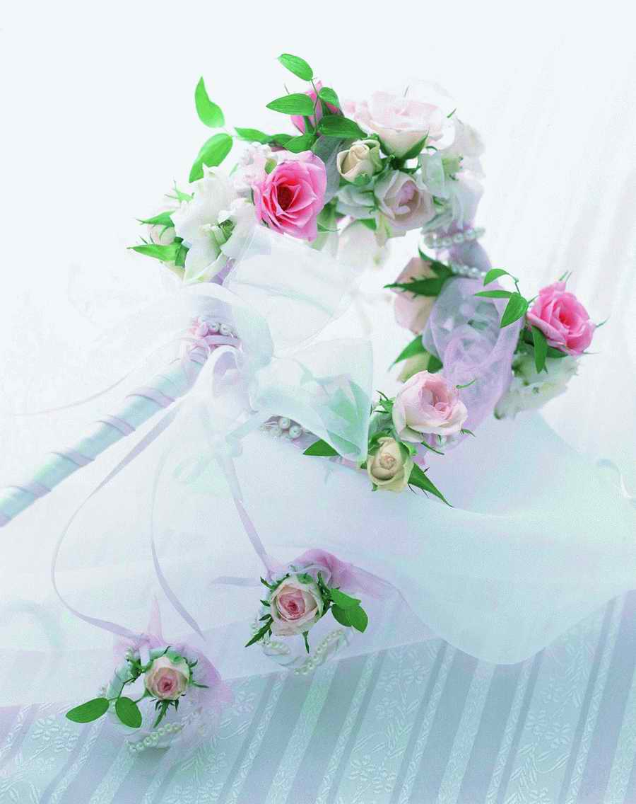 Bouquet 2 - VisualDisk ></a>
<script language=JavaScript> 
  var txt = 