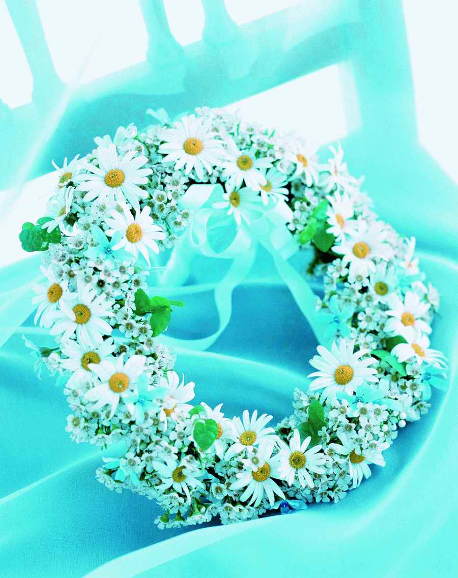 Bouquet 2 - VisualDisk ></a>
<script language=JavaScript> 
  var txt = 