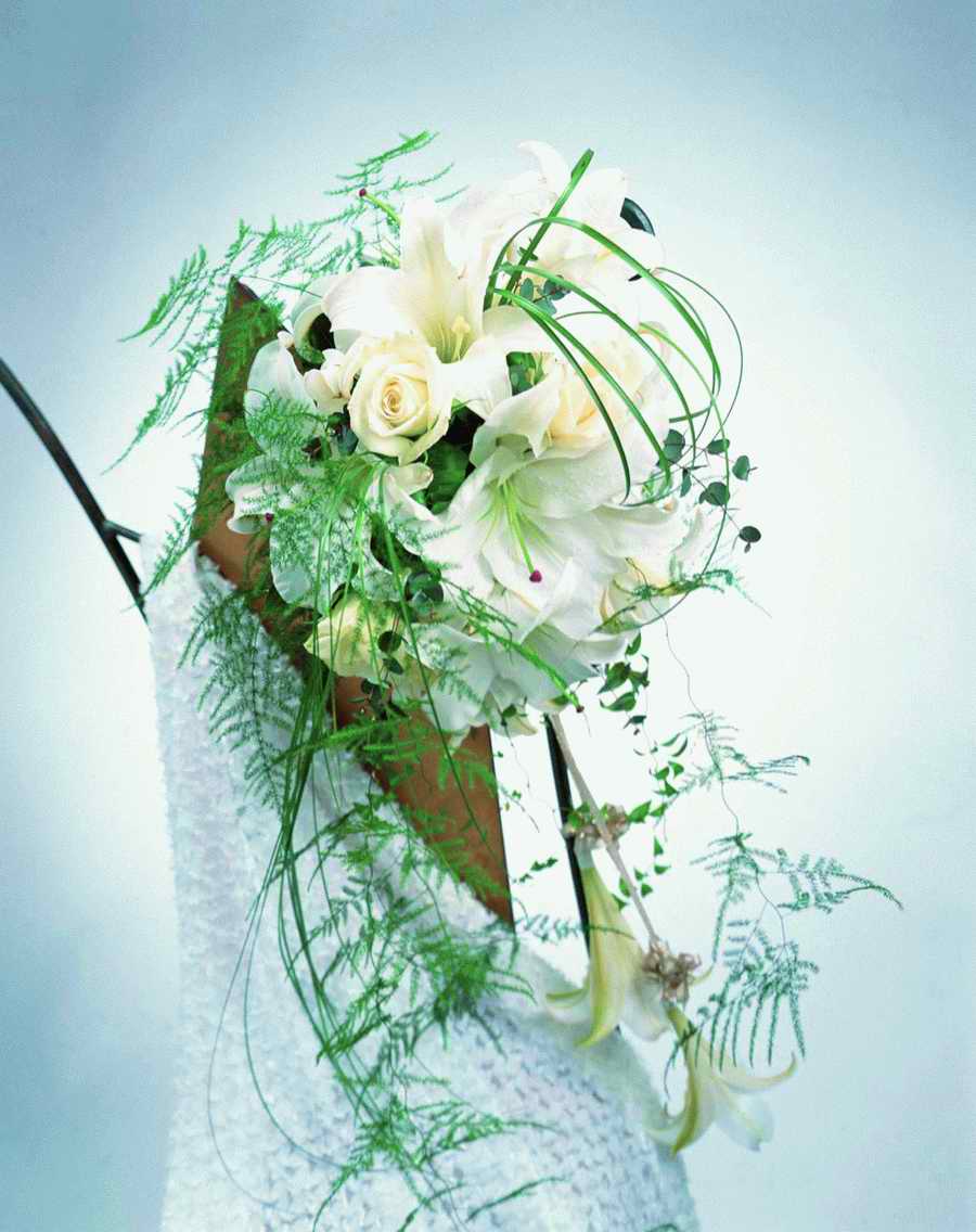 Bouquet 2 - VisualDisk ></a>
<script language=JavaScript> 
  var txt = 