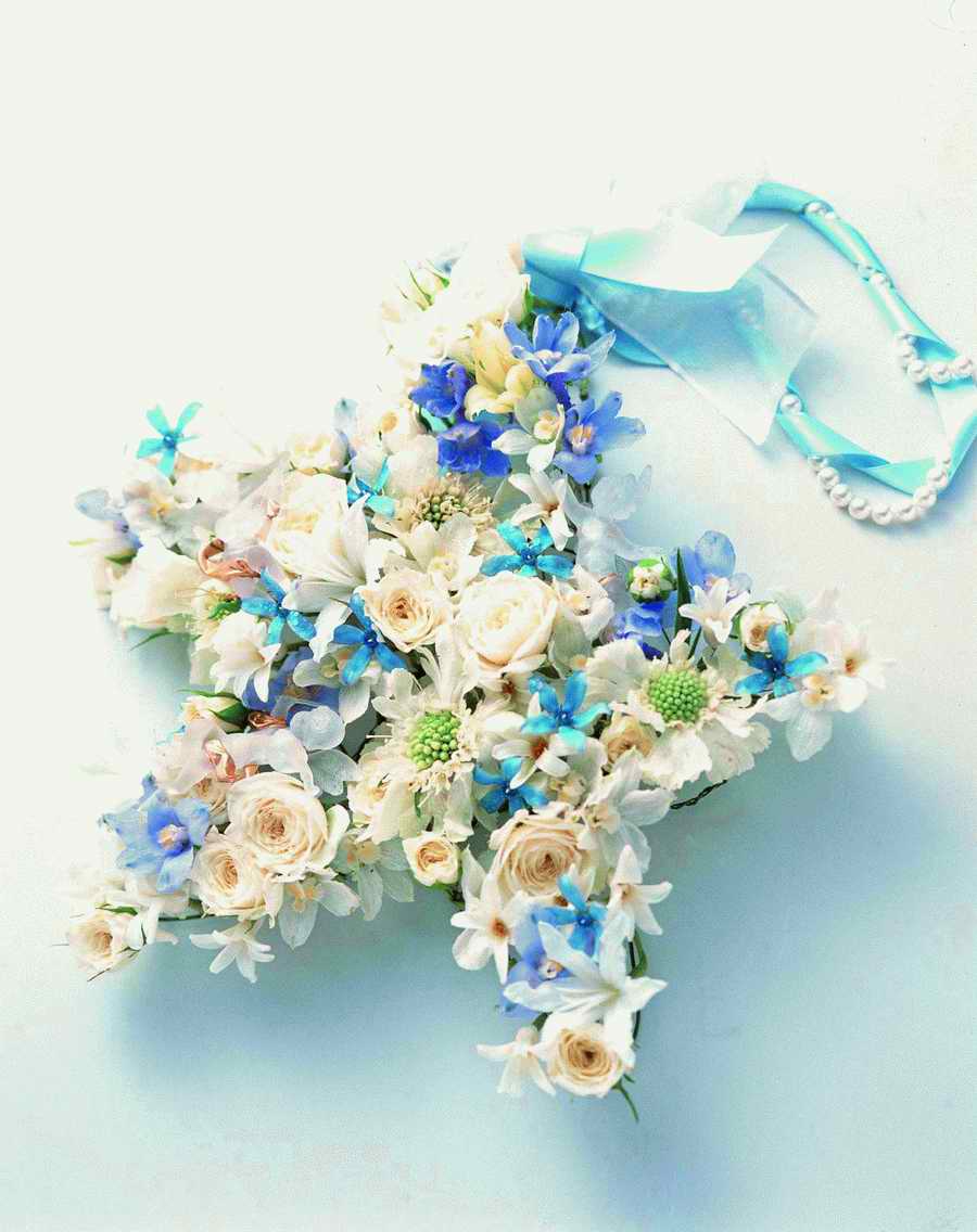 Bouquet 2 - VisualDisk ></a>
<script language=JavaScript> 
  var txt = 