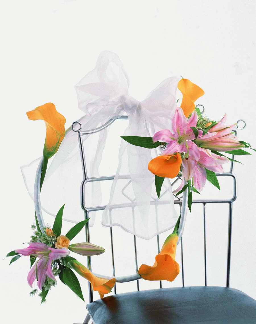 Bouquet 2 - VisualDisk ></a>
<script language=JavaScript> 
  var txt = 