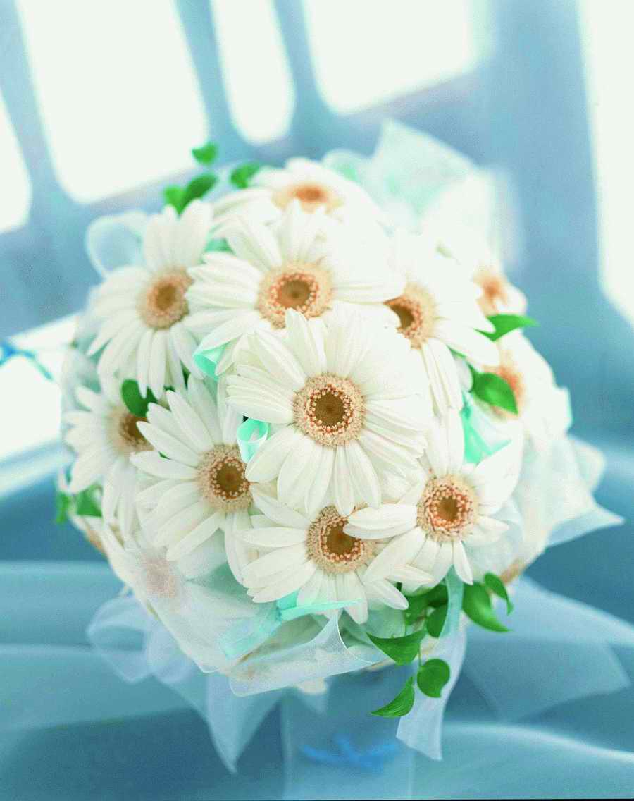 Bouquet 2 - VisualDisk ></a>
<script language=JavaScript> 
  var txt = 