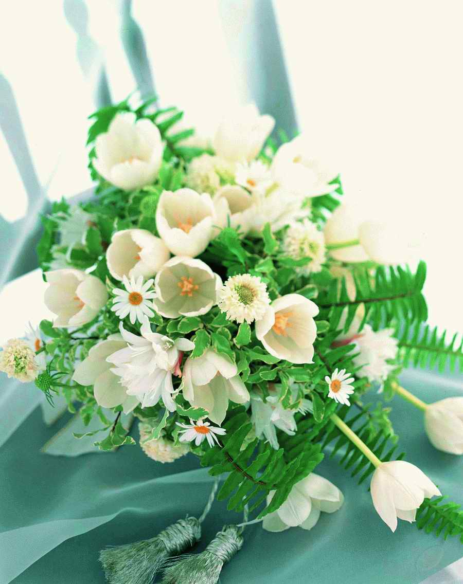 Bouquet 2 - VisualDisk ></a>
<script language=JavaScript> 
  var txt = 