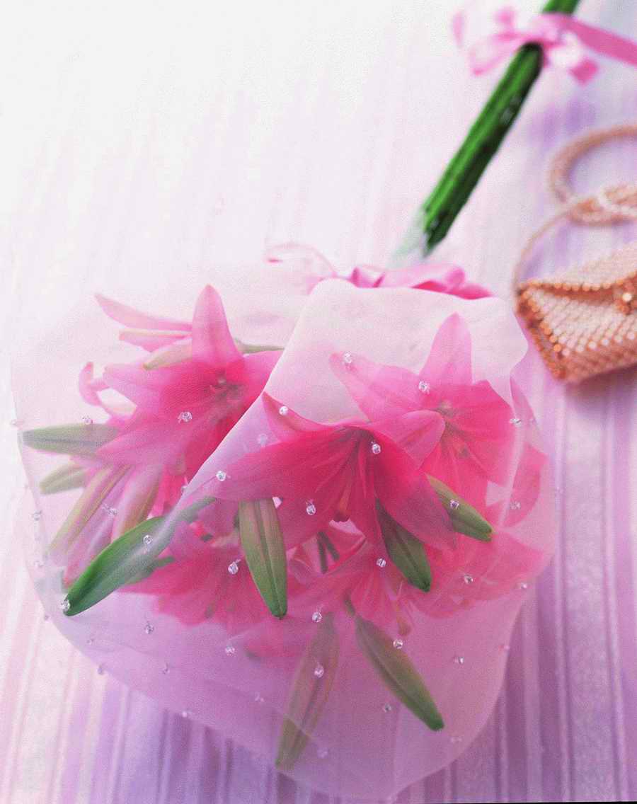 Bouquet 2 - VisualDisk ></a>
<script language=JavaScript> 
  var txt = 