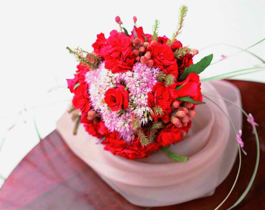 Bouquet 2 - VisualDisk ></a>
<script language=JavaScript> 
  var txt = 