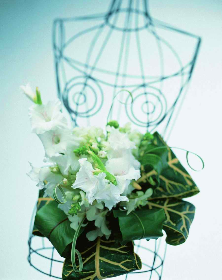 Bouquet 2 - VisualDisk ></a>
<script language=JavaScript> 
  var txt = 
