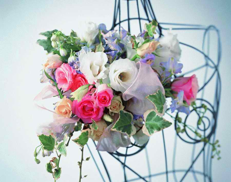 Bouquet 2 - VisualDisk ></a>
<script language=JavaScript> 
  var txt = 