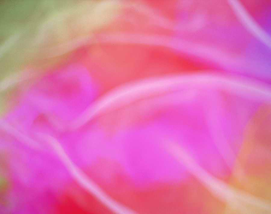 Fabrics - VisualDisk ></a>
<script language=JavaScript> 
  var txt = 