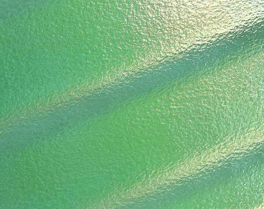 Glasses - VisualDisk ></a>
<script language=JavaScript> 
  var txt = 