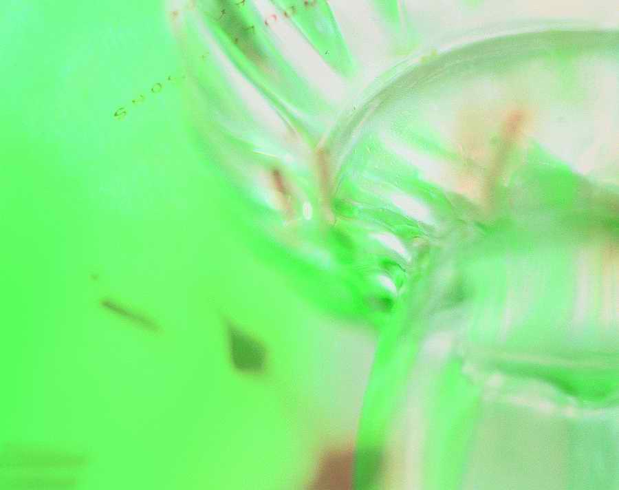 Glasses - VisualDisk ></a>
<script language=JavaScript> 
  var txt = 