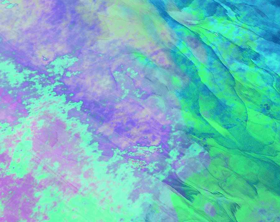 Glasses - VisualDisk ></a>
<script language=JavaScript> 
  var txt = 