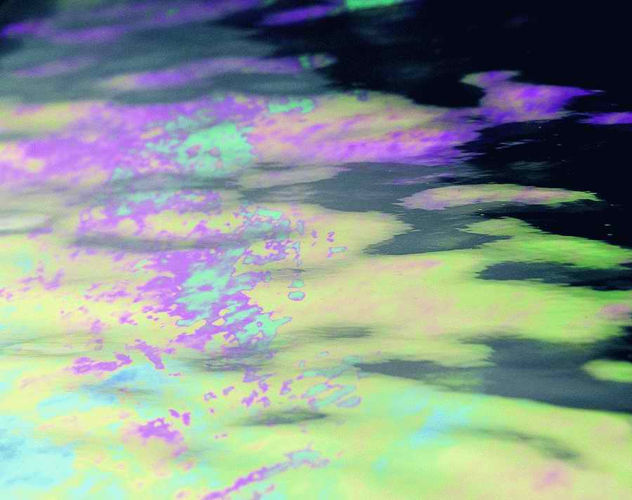 Glasses - VisualDisk ></a>
<script language=JavaScript> 
  var txt = 