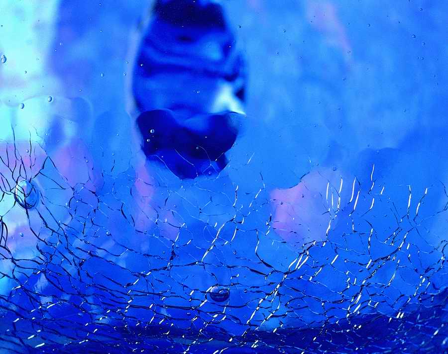 Glasses - VisualDisk ></a>
<script language=JavaScript> 
  var txt = 