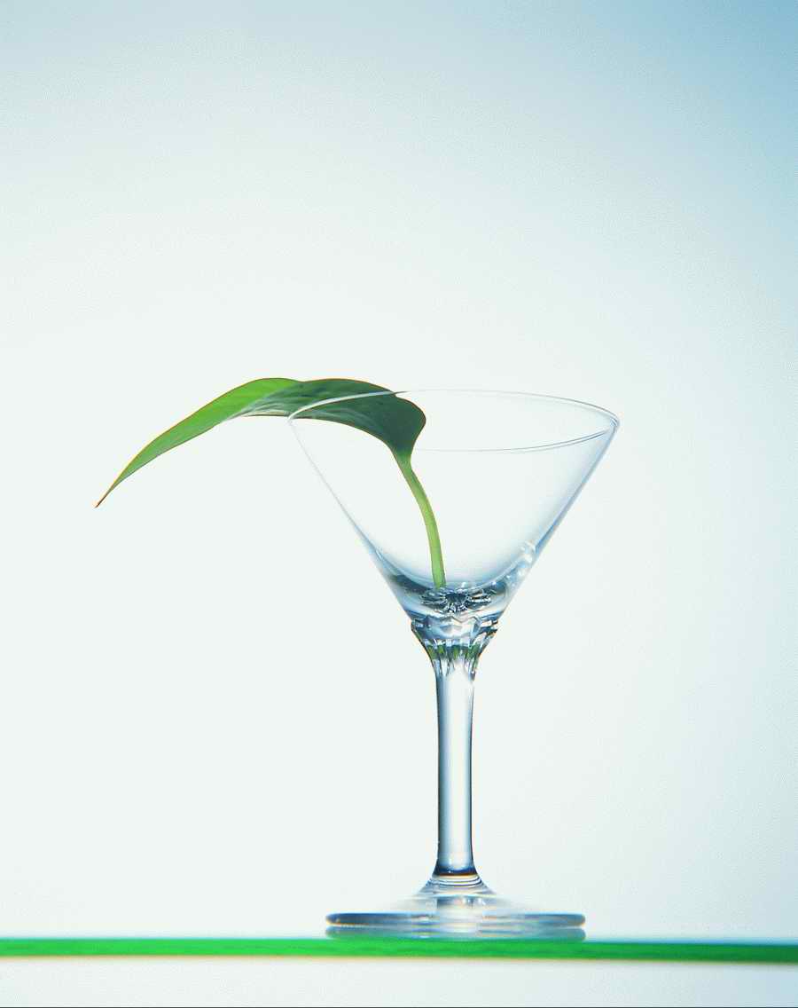 Glasses - VisualDisk ></a>
<script language=JavaScript> 
  var txt = 