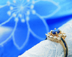 VisualDisk: Jewelry 