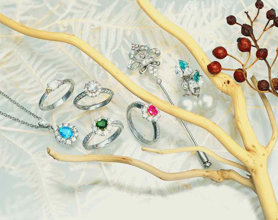 Jewelry - VisualDisk ></a>
<script language=JavaScript> 
  var txt = 