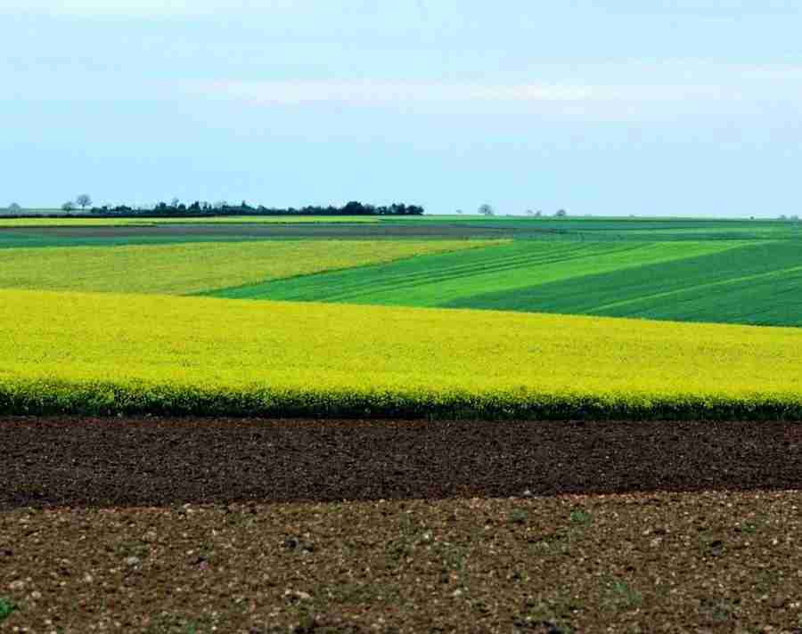 Meadow - VisualDisk ></a>
<script language=JavaScript> 
  var txt = 