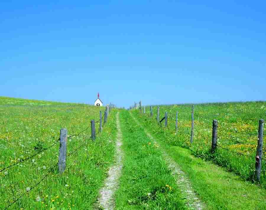 Meadow - VisualDisk ></a>
<script language=JavaScript> 
  var txt = 