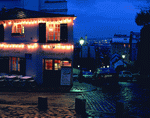 VisualDisk: Night Scene 