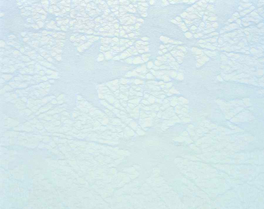 Papers - VisualDisk ></a>
<script language=JavaScript> 
  var txt = 