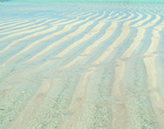 VisualDisk: Sand 