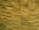 VisualDisk: Sand 