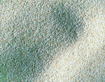 VisualDisk: Sand 