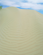 VisualDisk: Sand 