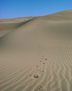 VisualDisk: Sand 