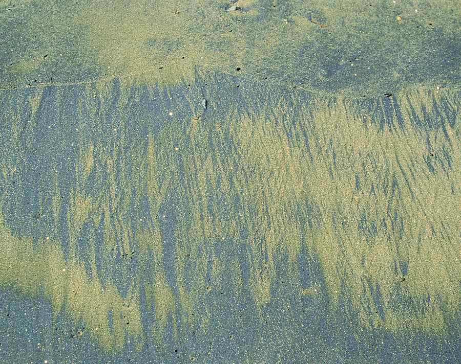 Sand - VisualDisk ></a>
<script language=JavaScript> 
  var txt = 