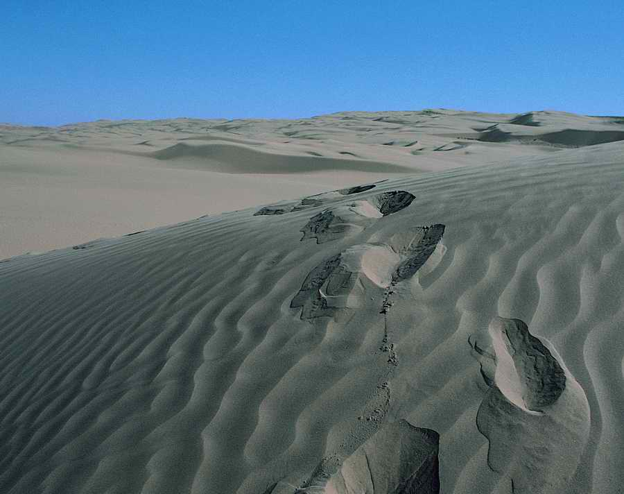 Sand - VisualDisk ></a>
<script language=JavaScript> 
  var txt = 