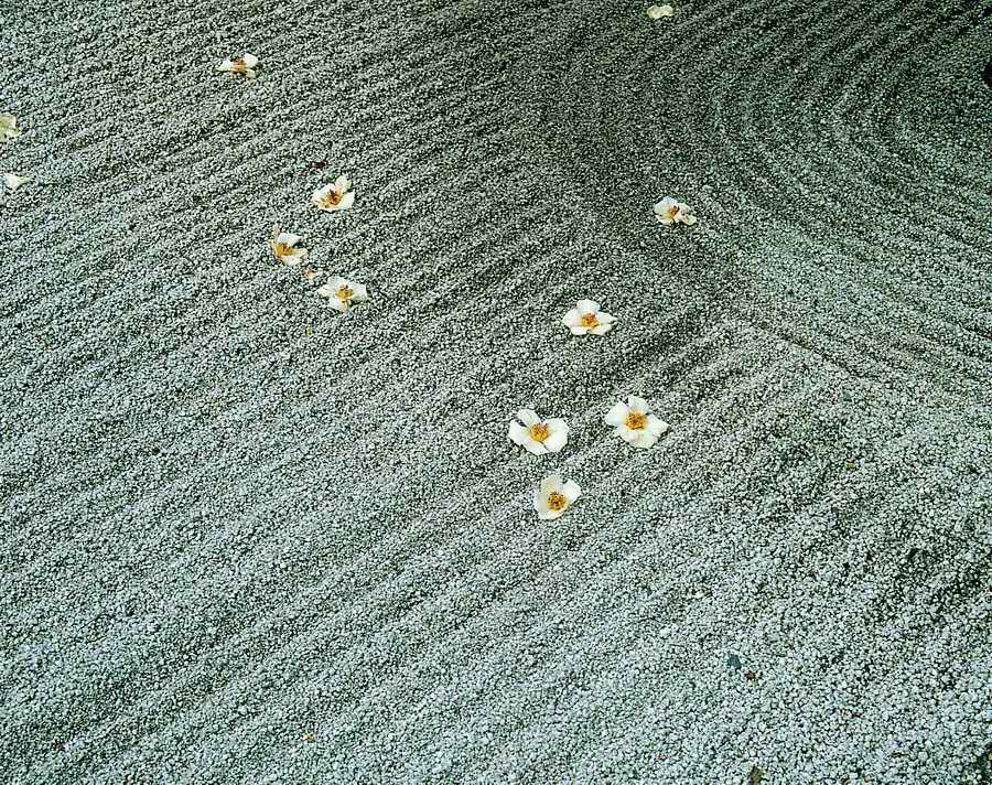 Sand - VisualDisk ></a>
<script language=JavaScript> 
  var txt = 