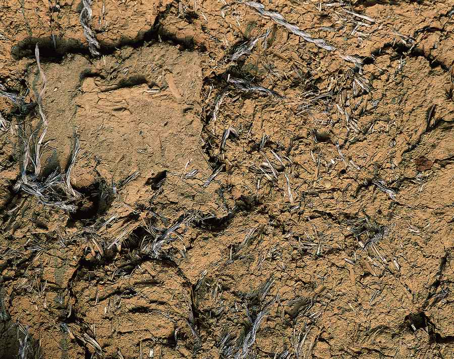 Sand - VisualDisk ></a>
<script language=JavaScript> 
  var txt = 