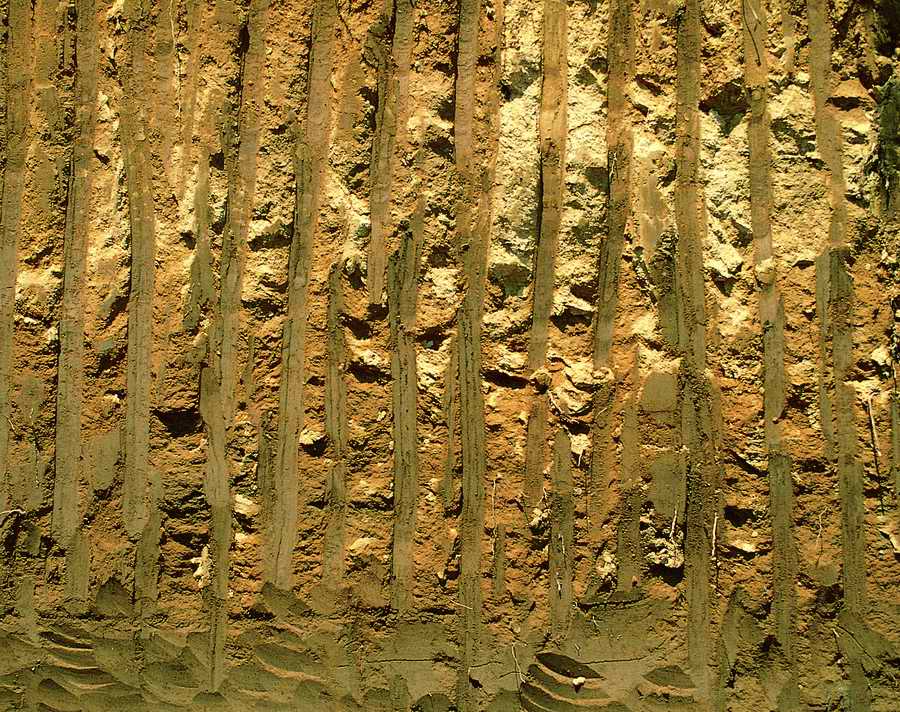 Sand - VisualDisk ></a>
<script language=JavaScript> 
  var txt = 