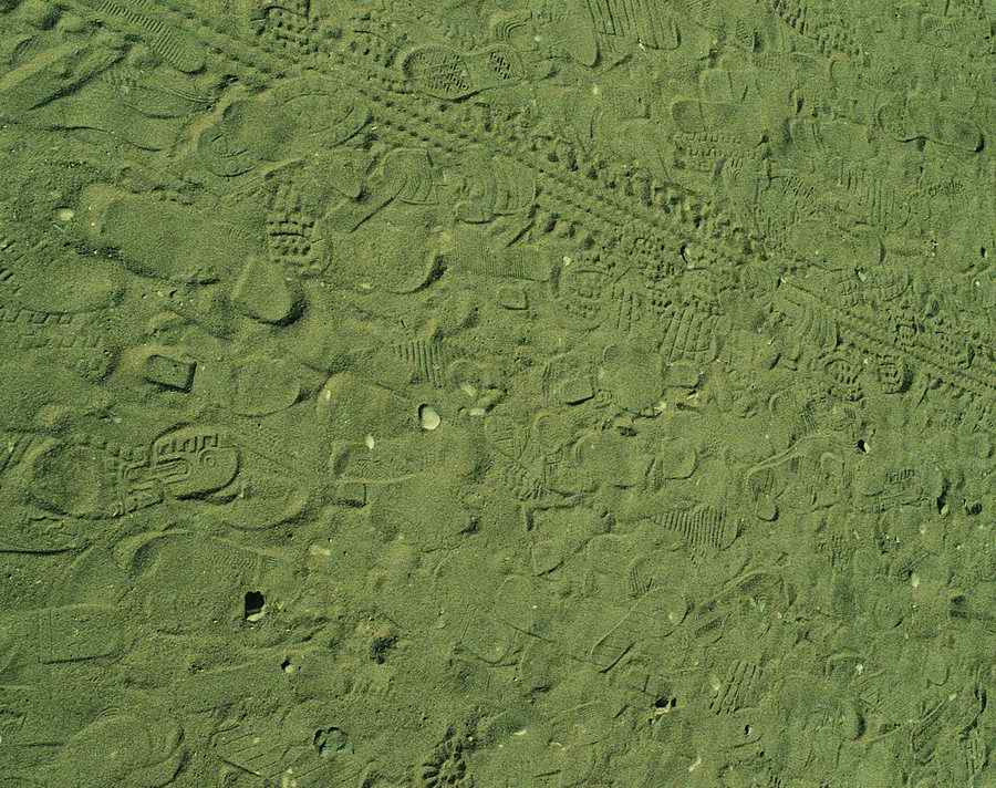 Sand - VisualDisk ></a>
<script language=JavaScript> 
  var txt = 